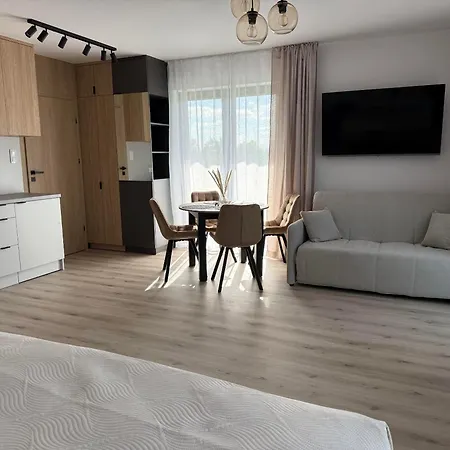 Pensión Albian 4*